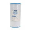 Filtre Spa (50303 / C-5330 / PIN28 / FC-3478) -BOOSPA BOUTIQUE filtre spa 50303 c 5330 pin28 fc 3478