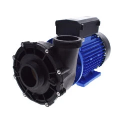 Pompe De Massage LP300 - 3HP 60mm - 2'' Inclus